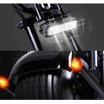 ESH-5112 ECO Electric Scooter Harley